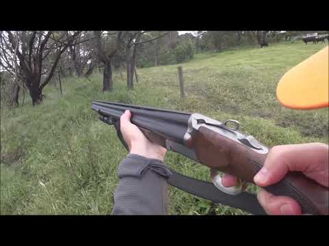 Driven Fox Hunt with Chiappa Triple Crown 20g and Dachshunds Victoria 10/11/2019