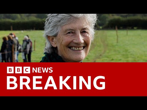 Video | Catherine Connolly set to win Irish presidential election as rival concedes | BBC News
