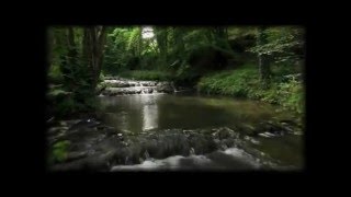 &quot;Where Peaceful Waters Flow&quot; By: Chris De Burgh