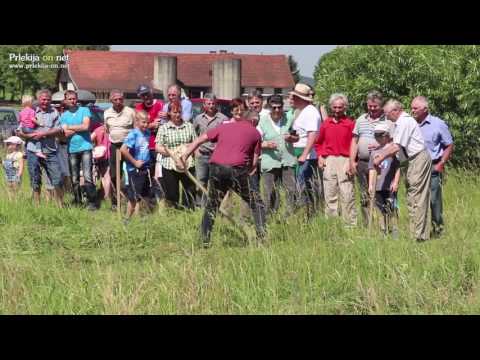 31. tekmovanje koscev v Vogričevcih