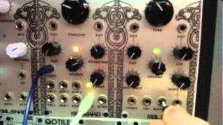 Video thumbnail for vintage wiard anti-oscillator eurorack module, the tamed and the wild by DavidH