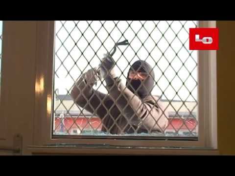 Verglastes Fixelement ADLO mit Dreifachsicherheitsglas mit Ausgitterung