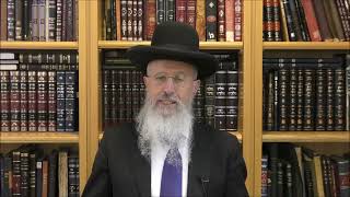הרב הגאון אברהם יוסף שליט"א מה הפירוש נט בר נט דהיתרא באוכלין ואיך זה בא לידי ביטוי בפועל.