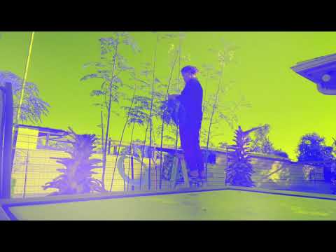 Harvesting My Moringa 2k21October