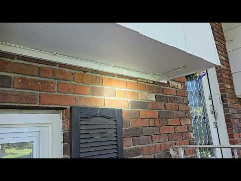 Yellow Jackets Nesting Behind the Siding of Home in Branchburg, NJ