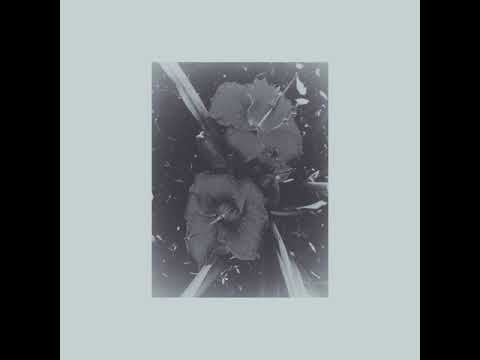 burning as the first light by sadness, soulless