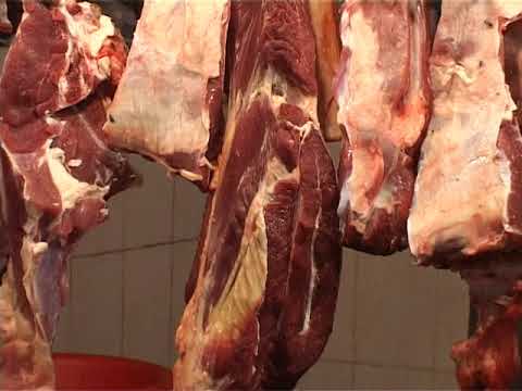 কৃএিম প্রজনন গান