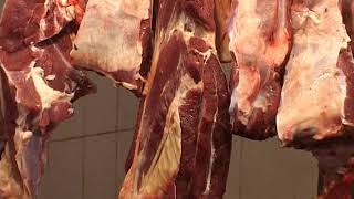 কৃত্রিম প্রজনন