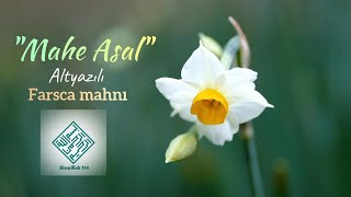 "Mahe Asal" Masih &amp; Arash ALTYAZILI farsca mahnı