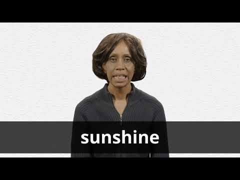 Português Tradução de SUNSHINE  Collins Dicionário Inglês-Português