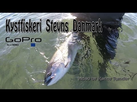 Kystfiskeri Stevns video by Kenny Rander