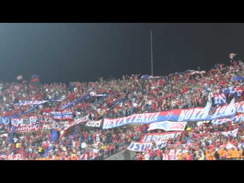 DIM 1 Leones 1 / Video completo Copa 2015