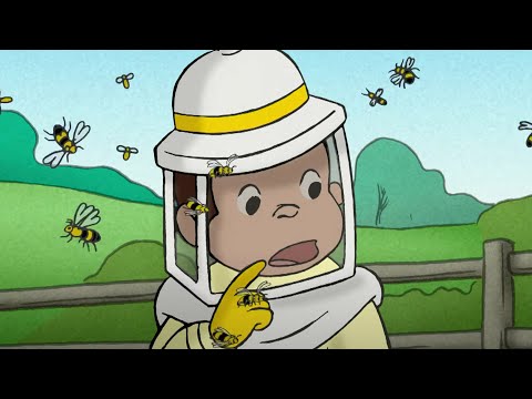 , title : 'Como abelhas fazem mel? 🐵 George, o Curioso 🐵 Desenhos Animados'