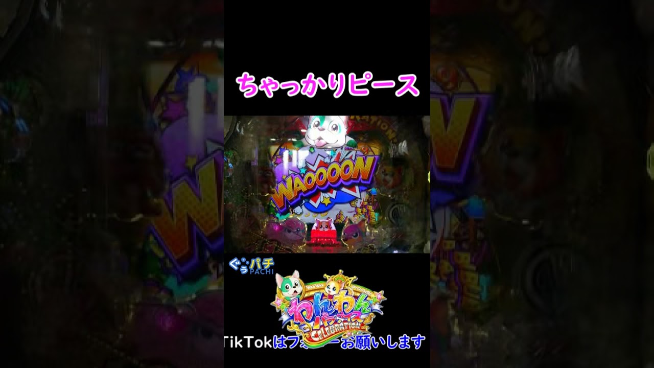 【わんわんパラダイス セレブレーション】
