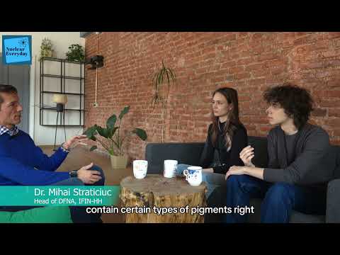 2025 - Nuclear Everyday - Ivan Alexia-Ștefania & Caracaș Petru Constantin