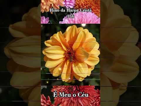 Hino da Harpa Cristã 346 É Meu O Céu 🙌