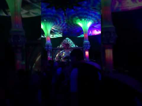 Psy-Fi 2016 Video 13 ( Tekno Tony was here )