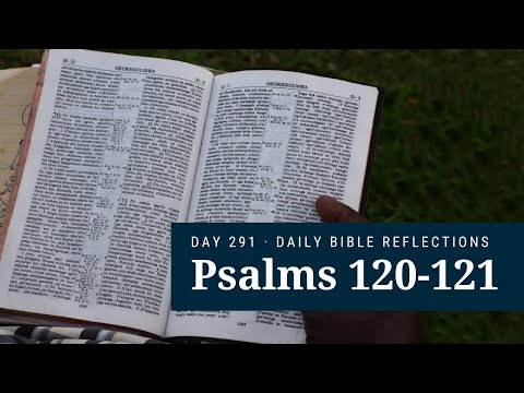 DAY 291 | Psalms 120-121 | The Bible in a Year