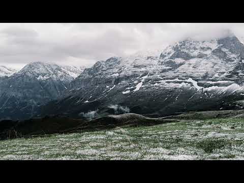 Petos - III (visuaali)