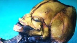 THIS IS NOT AN ALIEN -- Mind Blow #64