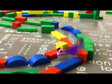 WunderWuzzi - Zahnbürstenbot