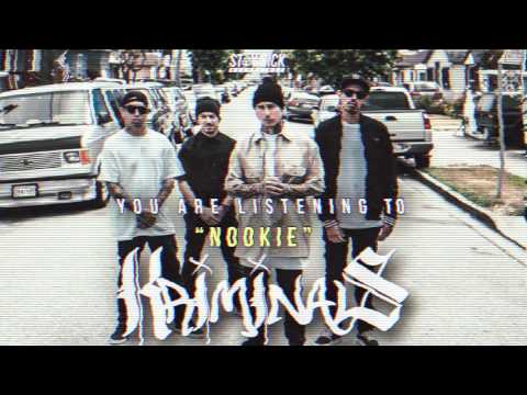 Kriminals - Nookie (Cover)