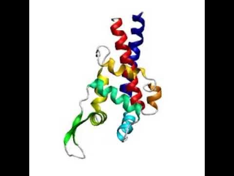 Calculated molecular dynamics of the microtubule binding domain (MTBD) of flagellar dynein