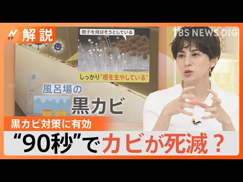 堆肥中のカビ：不快な影響を避けるには？  庭園