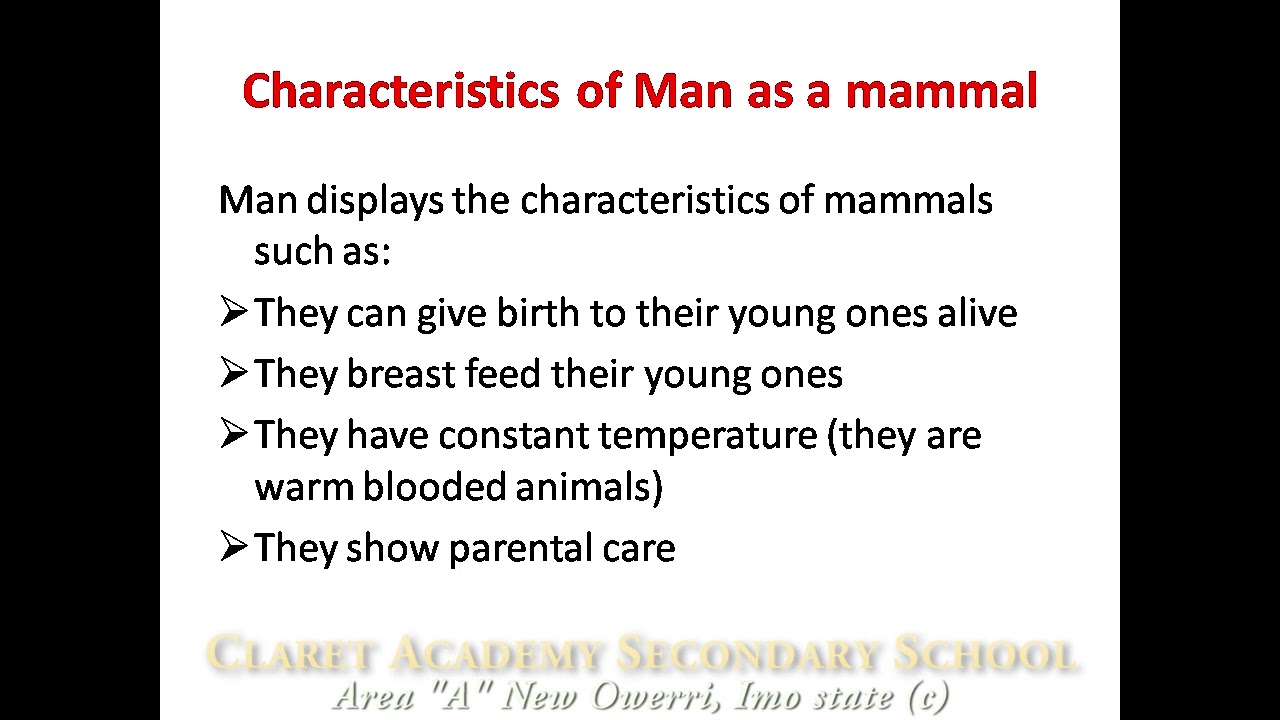 Basic Science  JSS 1 week 3