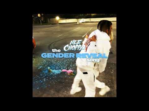 Video thumbnail for The Gender Reveal Song