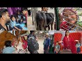 Nana Bari Eid Unlimited Happiness Eid Mubarak Eid Vlog Eid Ul Fitr 2026 Eidvlog Familyvlog