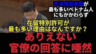 【国会切り抜き】法務委員会で暴露される在留許可の矛盾【日本保守党 北村晴男】
