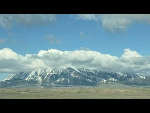 “The Quiet Kind of Crazy”