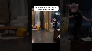 壁役としてメインポケに繋げる仕事をするガルーラ　#ポケモン #shorts #ポケポケ