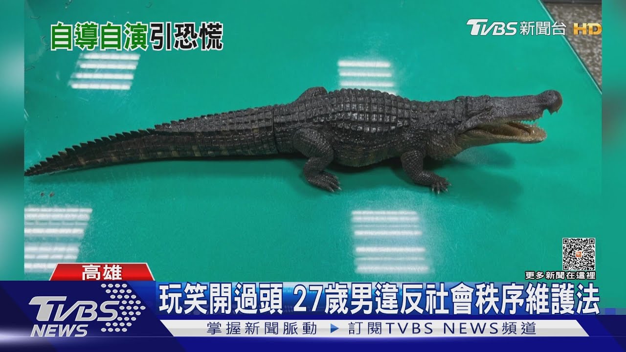 凹仔底公園有鱷魚？　他吃飽太閒自導自演