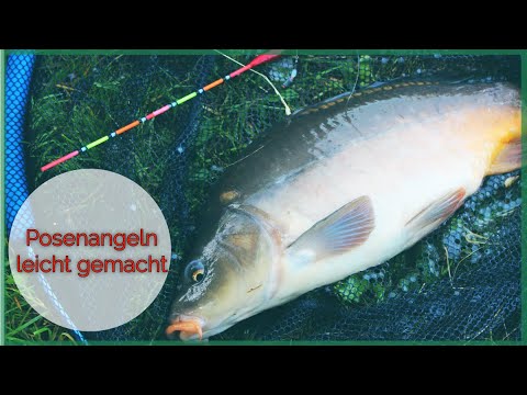 Posenangeln leicht gemacht