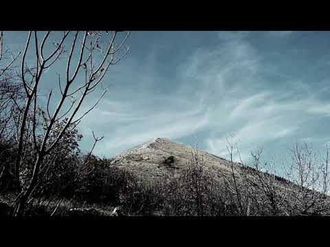 Ekart Tol - Tisina govori