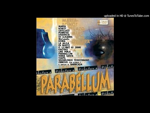 Idi Bihotz - La Locura-Zoramena (En Euskera) - Tributo A Parabellum