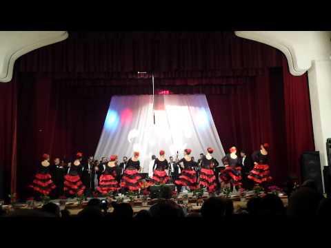 Dans Spaniol - Ansamblul Artistic Profesionist Ciprian Porumbescu din Suceava