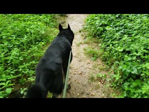 5/28/2019 - Apollo dodges the raindrops