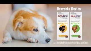 Bravecto Flea and Tick Treatment for Dogs| Pet Care| VetSupply