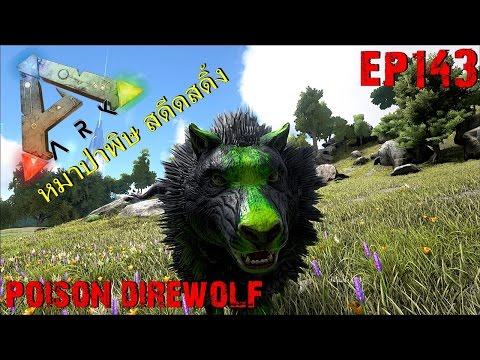 BGZ - ARK: Survival Evolved EP#143 จับหมาป่าพิษ สดีดสดิ้ง badass poison direwolf