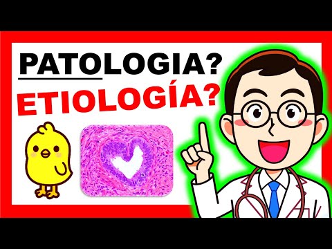 👋 ¿Qué es la Patologia? 🦆🔬🦠