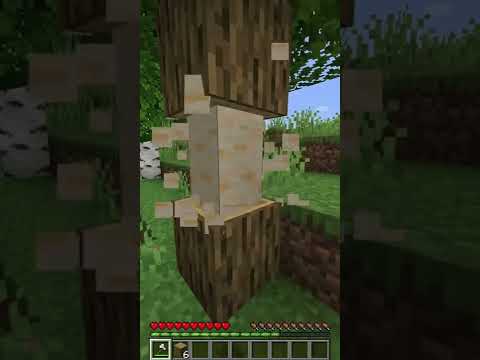 RAZAN - Minecraft tree texture mod #shorts