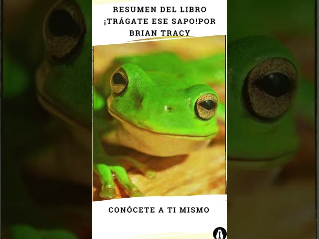 Vídeo relacionado con ¡Trágate ese sapo! 21 estrategias para TRIUNFAR combatiendo la procrastinación (Libros singulares)