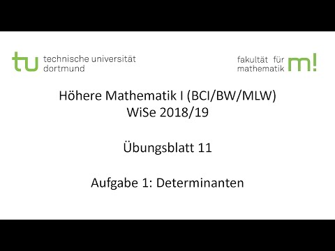 Übungsblatt 11, Aufgabe 1 -- TU Dortmund, Höhere Mathematik I (BCI/BW/MLW), WS2018/19 (ÜB11 A1)