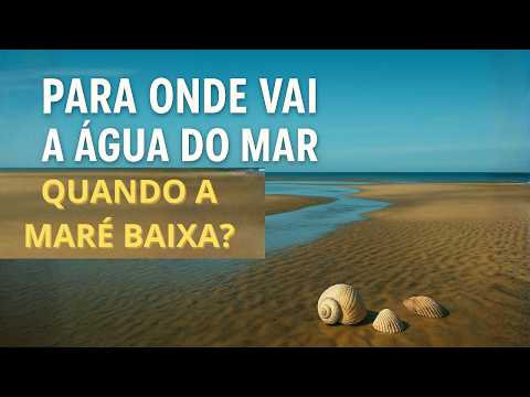 Where does the seawater go when the tide is low?