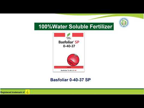 Basfoliar 0.40.37 SP