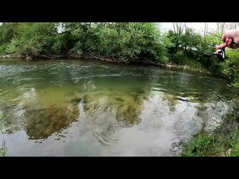 Ul Forellen angeln / Bachforellen mit Troutworm und Wobbler