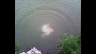 preview picture of video 'Cliff Jump Hixson Tennessee'